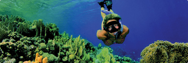 Snorkelling in the Red Sea