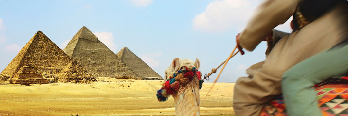 Pyramids and camel 715x240